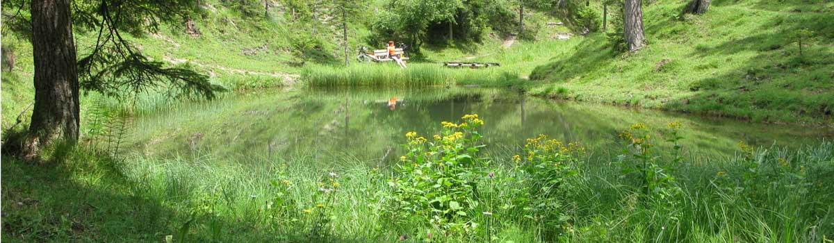 Idyllischer Teich bei der Maximilianrast
